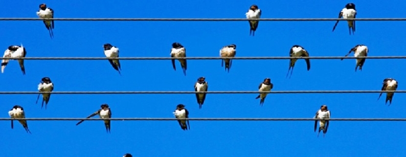 Acquisto di una quota di una casa-Proprietà condivisa in Inghilterra