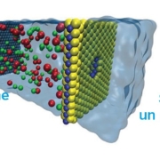 Desalinizzazione dell’acqua, scoperto un nuovo materiale utile