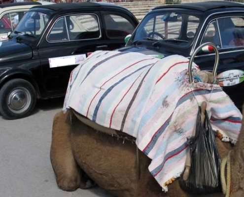 L'Italia Sequestra Fiat Topolino per Bandiere Nazionali sulle Auto Marocchine