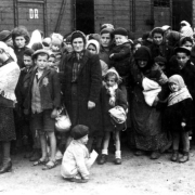 I bambini di Auschwitz sono stati in circa 230.000 bambini e adolescenti.Quasi tutti perirono nelle camere a gas o di stenti e malattia