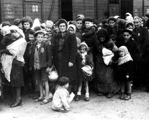 I bambini di Auschwitz sono stati in circa 230.000 bambini e adolescenti.Quasi tutti perirono nelle camere a gas o di stenti e malattia