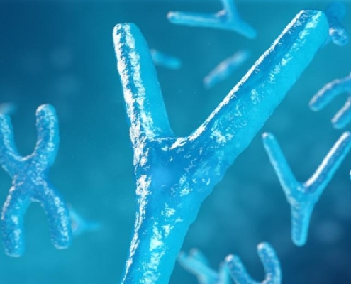 Il cromosoma Y umano: un'evoluzione a tutta velocità