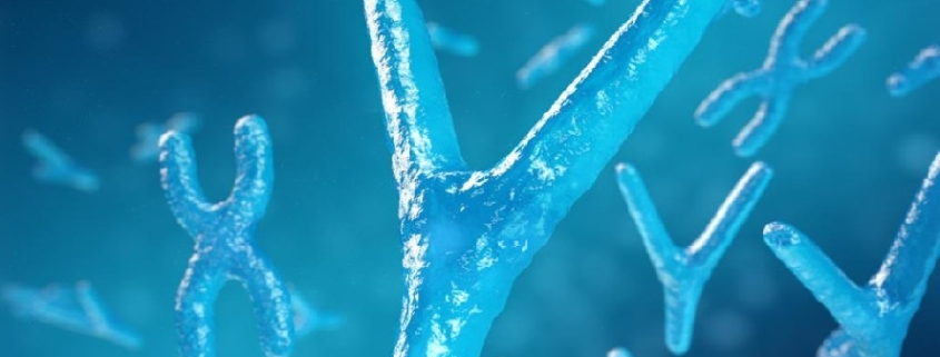 Il cromosoma Y umano: un'evoluzione a tutta velocità