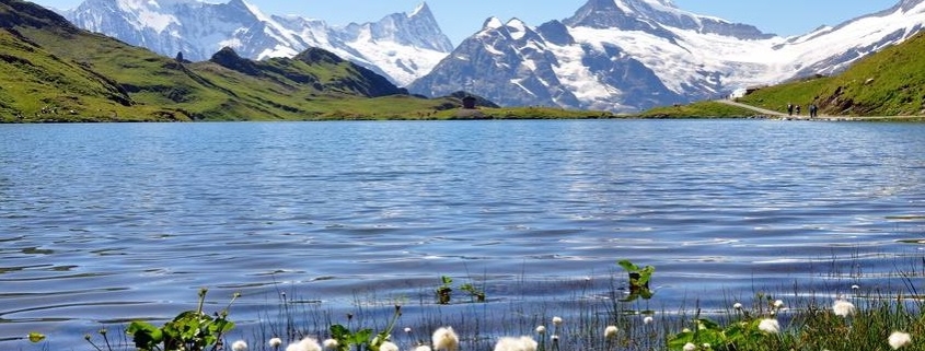 UE approvata legge sul ripristino della natura, un passo fondamentale verso la protezione e la conservazione dell'ambiente naturale.