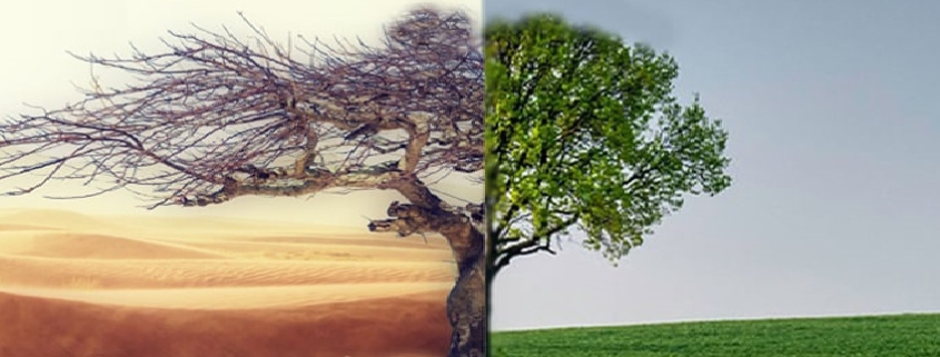 17 giugno, la Giornata mondiale per la lotta alla Desertificazione e alla Siccità