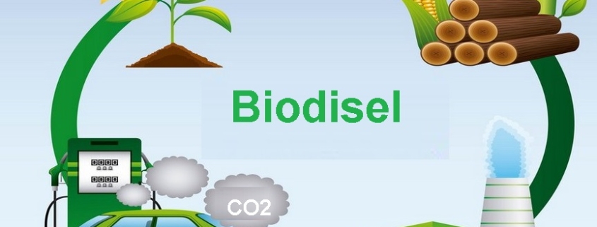 Unione Europea Impone Dazi Sul Biodiesel Cinese Importato