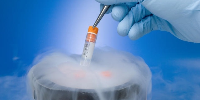 Congelamento Ovuli Aziendale: Nuova Frontiera dei Benefit per Dipendenti