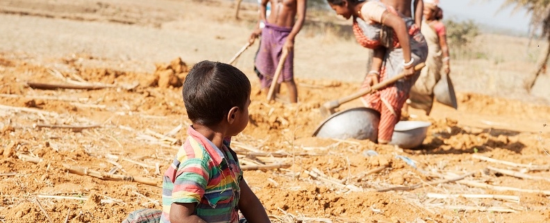 Ingiustizie globali: soluzioni per la sopravvivenza dell'umanità