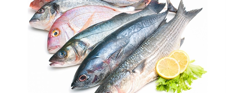 Pesce azzurro sostituisce carne rossa: salva milioni di vite