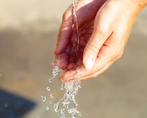 Acqua bene essenziale per salvaguardare la biodiversità globale