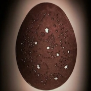 Investire in Arte Moderna: Crescita di Fontana e Contemporanea