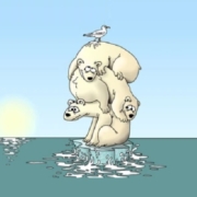 Cambiamento climatico - diritti umani: una sfida globale urgente