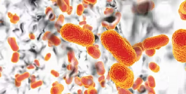 Superbatteri: la resistenza agli antibiotici minaccia milioni di vite