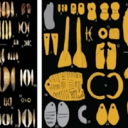 La ricchezza genetica italiana: un patrimonio di diversità unica