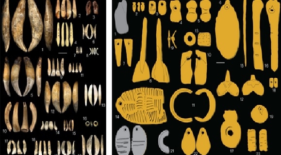 La ricchezza genetica italiana: un patrimonio di diversità unica