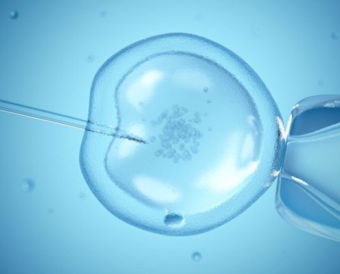 Storia della fecondazione in vitro: successi, sfide e controversie