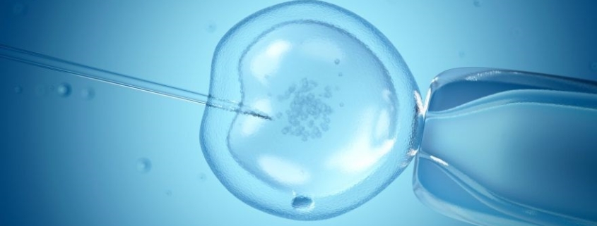 Storia della fecondazione in vitro: successi, sfide e controversie