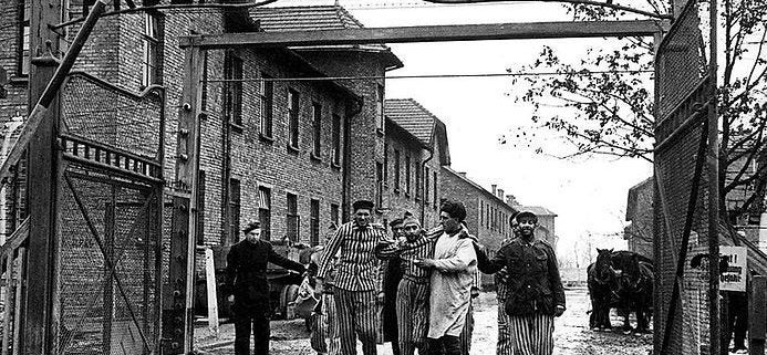 Il Giorno della Memoria: un invito a riflettere insieme