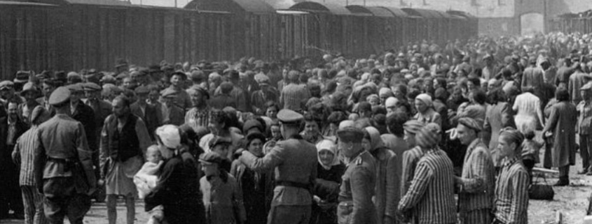 Soluzione finale: pianificazione e attuazione dello sterminio ebraico