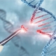 Taglia e cuci del DNA: Promesse per malattie ereditarie