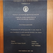 Approcci epigenetici per la terapia del cancro: ricerca su Bcl2