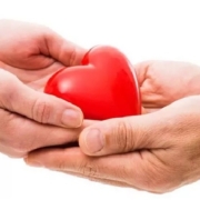 Donazione organi: crescono i "no", ma l'Italia resta solidale