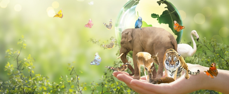 La diversità: fondamento della vita e chiave della sopravvivenza