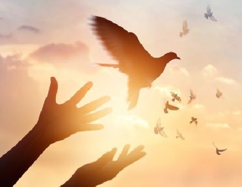 Pasqua: la speranza di un mondo nuovo, nelle mani della gioventù