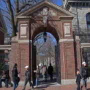 Harvard e il blocco agli studenti internazionali: conseguenze