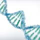 Biotecnologie molecolari: il futuro scritto nel DNA