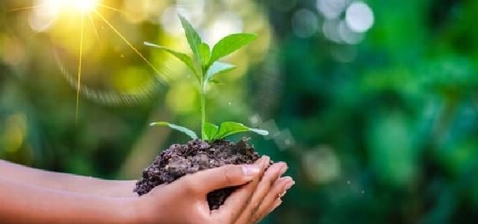 Il gusto di cambiare: la transizione ecologica come via per la felicità