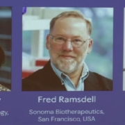 Nobel per la Medicina 2025: il premio che insegna l’equilibrio