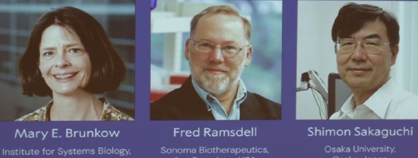 Nobel per la Medicina 2025: il premio che insegna l’equilibrio
