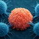 Cellule assassine: la nuova speranza contro il cancro