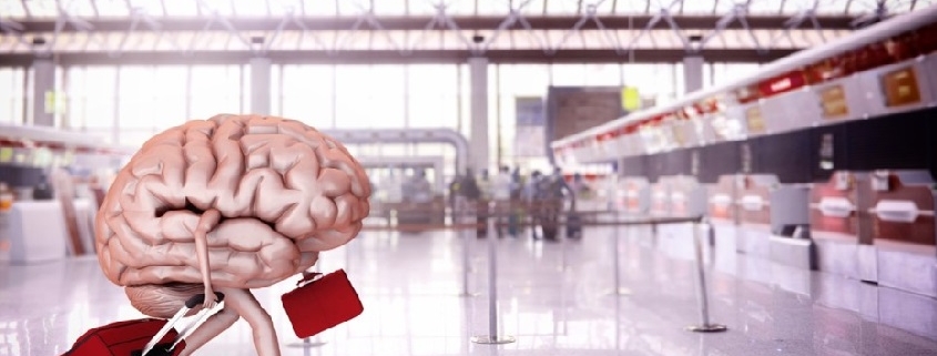 Italia in movimento: quando i talenti partono, e la politica resta ferma