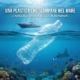 Una plastica che scompare nel mare: la ricerca accelera verso materiali che non inquinano
