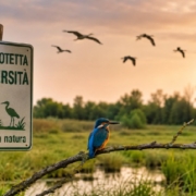 Ddl caccia, biodiversità a rischio tra politica e scienza.La salute umana, quella animale e quella degli ecosistemi sono strettamente connesse